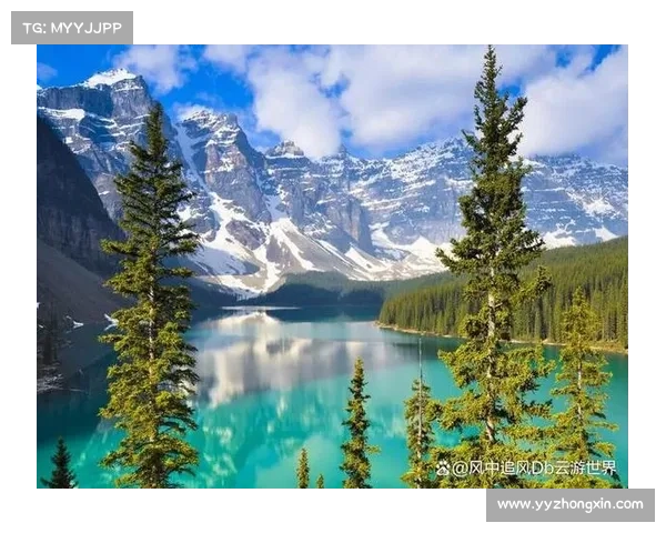 如何在北美洲参加杯赛并获得参赛资格的全面指南